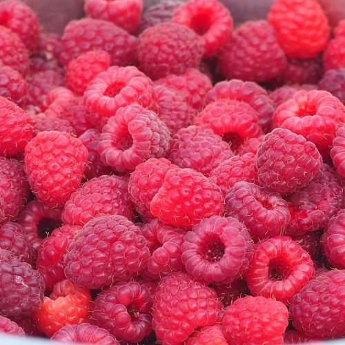 Le_coulis_de_framboise_thermomix_:_voici_la_bonne_recette